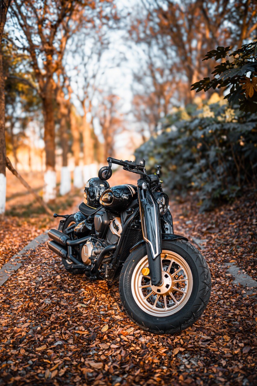 Benda Napoleon 500 Bobber, Phân Phối Chính Hãng, Giá Rẻ Tại Đồng Nai