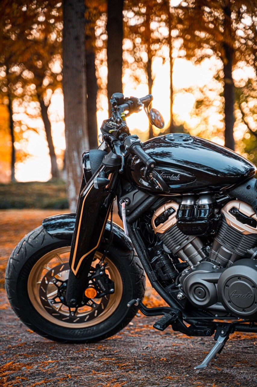 Benda Napoleon 500 Bobber, Phân Phối Chính Hãng, Giá Rẻ Tại Đồng Nai