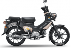 Honda Cross Cub CC110 2026 Special Version tại Đồng Nai Bản Special có gì khiến người mê Cub muốn sở hữu?